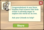 Snow stallion foal
