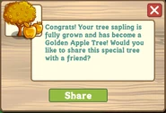 Golden apple tree