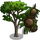 Monterey Cypress Tree-icon