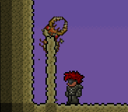 Antlion pillar.png (5 KB) Antlion pillar