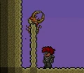 Antlion pillar.png