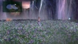 Farplane Glade