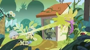 Gallery-Coop-13 (146)