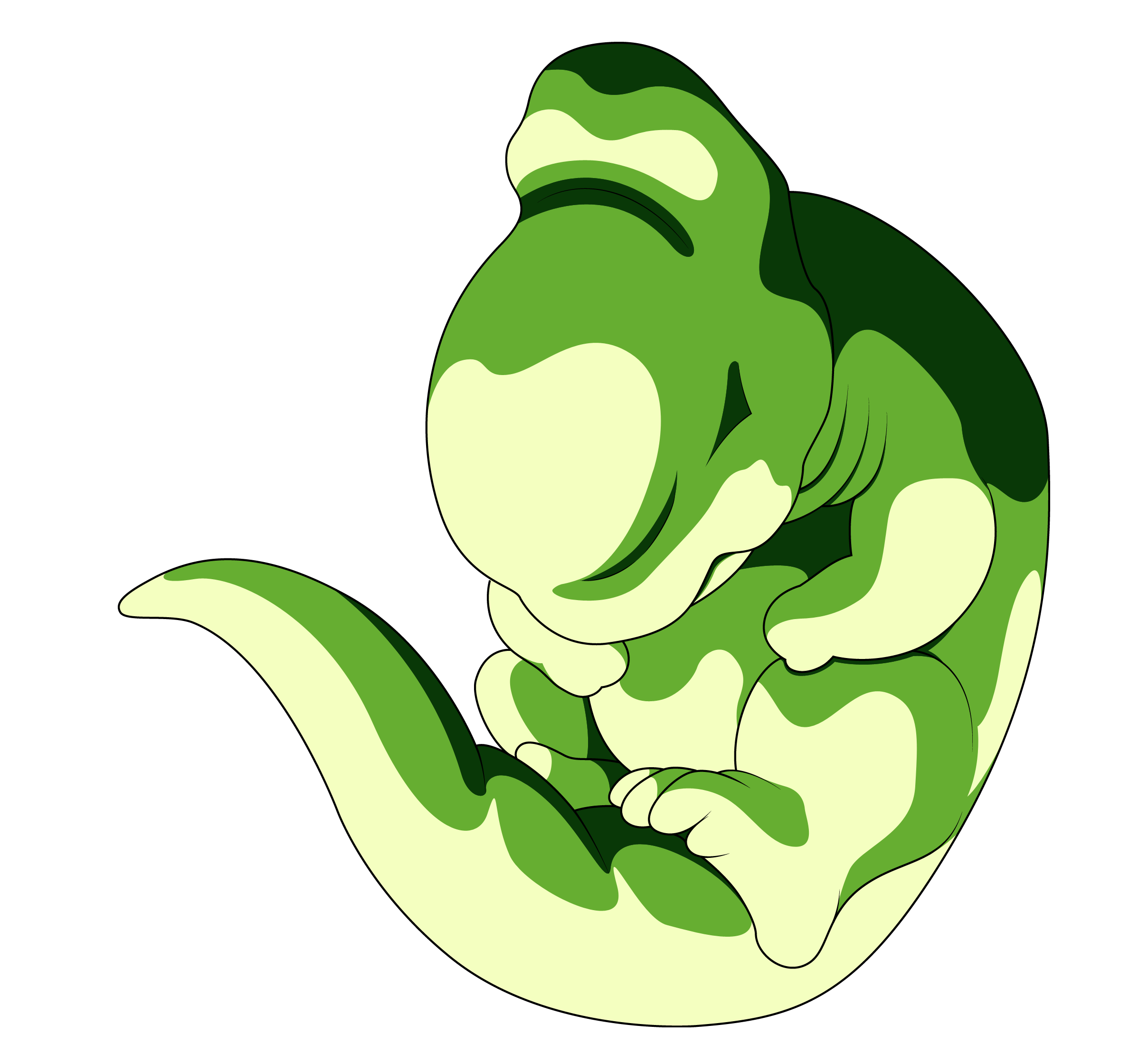 las faces de cell las faces de cell