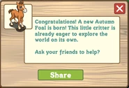 Autumn foal message