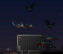 13 harpies