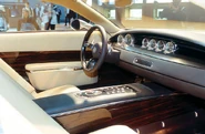 Jaguar 04