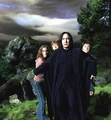 Severus Rogue trio.jpg