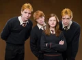 PromoHP5 Famille Weasley.jpg