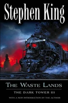 The Waste Lands3