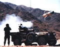 M151 MUTT.jpg