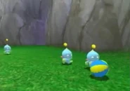 Chao PLaying SA2