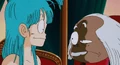 BulmawithEgorSleepingPrincessDevilCastleDB