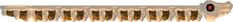 Bonecoaster Sprite