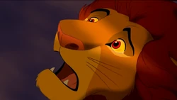 Simba in awe