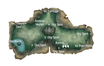 Tortuga graveyard