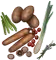 Fresh Vegetables