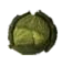 Rotten Cabbage