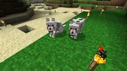 WolfMinecraft