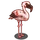 Lesser Flamingo-icon.png
