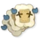 Gobbcards