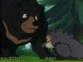 Bears.HeroLegacy.