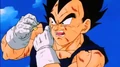 VegetaPotara