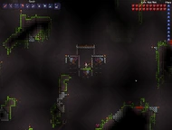 Underground Jungle hornet trap