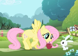 Fluttershy