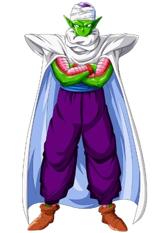 Piccolo Trans