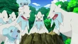 EP708 Manada de Beartic y Cubchoo