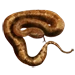 Item amazonpitviper 01