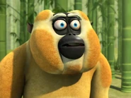 Kungfupandabrainwashedmonkey