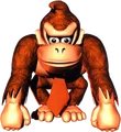 DKC DK Front