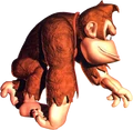 DKC DK Side