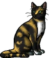 Cherrytail.warrior