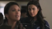 PLL117-0981
