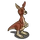 Red Kangaroo