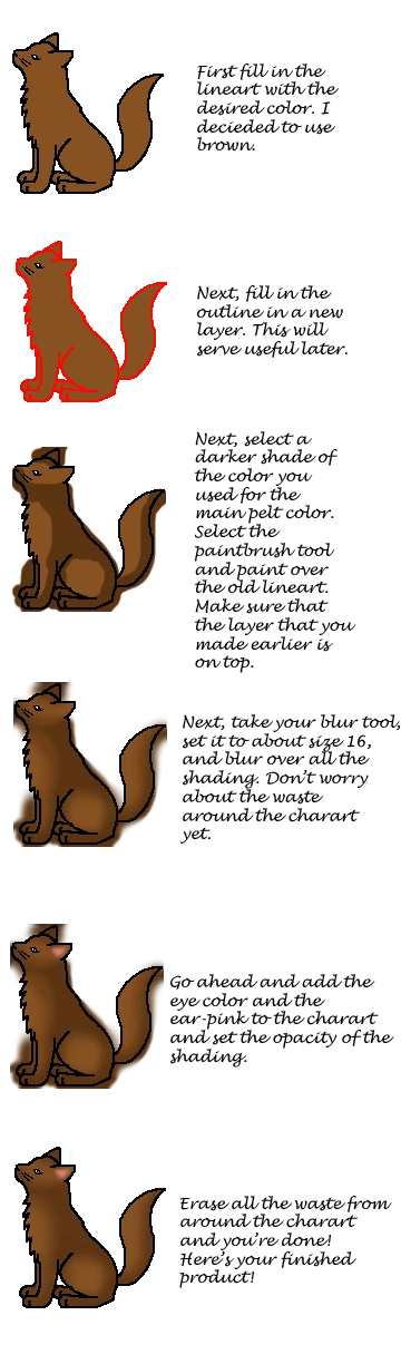 SolidCatTutorial