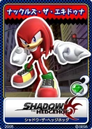 Shadow the Hedgehog 14 Knuckles the Echidna