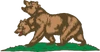 NCRLogoCropped
