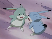 Rui-Pui2