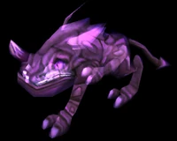 Phasebeast