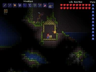 Jungle shrine