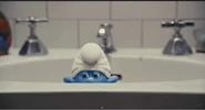 Peeking Out Of Sink