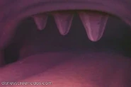 Makeminemusic-disneyscreencaps com-5815