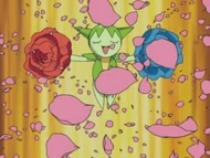 EP457 Roselia de Drew