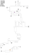 Sewers Map