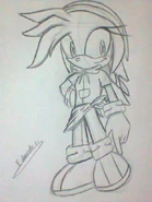 Sandra design