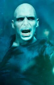 P4 Voldemort
